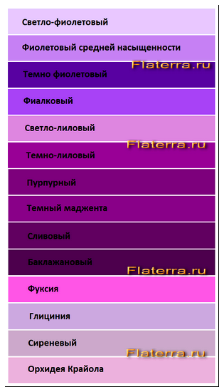 фиолетовый сиреневый цвет таблица