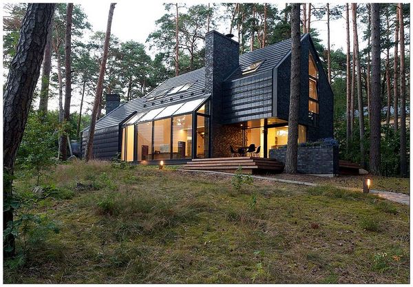 Уникальный черный дом из Латвии