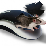 Какая мышь лучше — лазерная или оптическая