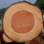 Брус деревянный, стандартные размеры и другие характеристики материала используемого для