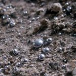 Загрязнение почвы тяжелыми металлами и способы борьбы с ним