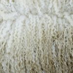 Как стирать овечью шерсть в домашних условиях Полезные советы