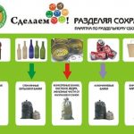 Сбор и сортировка мусора в России и опыт других стран