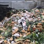 Утилизация и переработка пищевых отходов в сельском хозяйстве