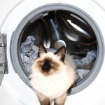 Рейтинг лучших встраиваемых стиральных машин на 2019 год