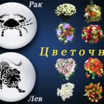 Цветочный гороскоп по дате рождения и знаку зодиака о чем говорят цветы