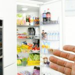 Лучшие модели холодильников от компании Gorenje на 2019 год