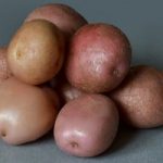 Описание сорта картофели Романо особенности выращивания с фото