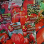 Посадка помидоров как правильно сажать в открытый грунт и на рассаду, видео
