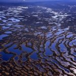 Самое большое болото в мире — Васюганское болото, экологические проблемы, угрожающие данному
