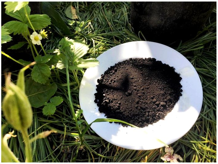 Влияние гумата калия на почву, удобрения и растения в сельском хозяйствевлияние