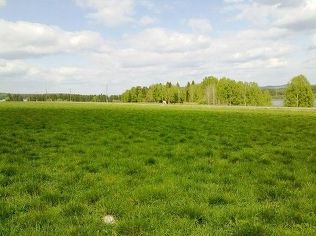 Покупка земельного участка в Сосновоборске